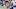 New England Patriots New England Patriots