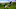 Tottenham, Tanguy Ndombele Scores Tottenham, Tanguy Ndombele Scores