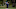PGA: Sony Open in Hawaii-Second Round PGA: Sony Open in Hawaii-Second Round