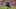 Liverpool transfer news Ryan Kent