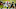 Jordan Davis, draft option for the Buccaneers, Jay Biggerstaff-USA TODAY Sports Jordan Davis, draft option for the Buccaneers, Jay Biggerstaff-USA TODAY Sports