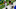 NFL 2022 NFL 2022