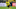 Youssoufa Moukoko could be in line fo this first senior start (Photo by Lars Baron/Getty Images) Youssoufa Moukoko could be in line fo this first senior start (Photo by Lars Baron/Getty Images)