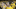 Iowa Hawkeyes Iowa Hawkeyes