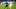 Leicester City Leicester City