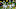 Oregon Ducks Oregon Ducks