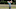 Rory McIlroy Rory McIlroy