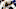 NHL DFS NHL DFS