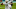 Ryan Fitzpatrick, Miami Dolphins Ryan Fitzpatrick, Miami Dolphins
