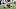 Green Bay Packers Green Bay Packers