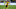 Marco Reus. (Photo by Dean Mouhtaropoulos/Getty Images) Marco Reus. (Photo by Dean Mouhtaropoulos/Getty Images)