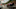 Forza Horizon 3 xbox one Forza Horizon 3 xbox one