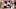 Arizona Cardinals Arizona Cardinals