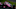Simon Pagenaud, Meyer Shank Racing, Indy 500, IndyCar Simon Pagenaud, Meyer Shank Racing, Indy 500, IndyCar