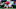 NFL mock draft Nolan Smith Georgia Bulldogs NFL mock draft Nolan Smith Georgia Bulldogs