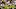 Aug 19, 2013; Landover, MD, USA; Pittsburgh Steelers running back Le Aug 19, 2013; Landover, MD, USA; Pittsburgh Steelers running back Le