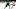 DALLAS, TX – OCTOBER 13: Patrick Sharp