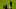 Erling Haaland was forced off with an injury in the second half. (Photo by Günter Schiffmann – Pool/Getty Images) Erling Haaland was forced off with an injury in the second half. (Photo by Günter Schiffmann – Pool/Getty Images)