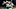 Green Bay Packers Green Bay Packers
