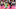 MLS's Expansions MLS's Expansions