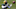 Green Bay Packers