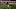 Chicago Bears Devin Hester Chicago Bears Devin Hester