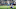 Dallas Cowboys Dallas Cowboys