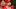 MLB Anthony Rendon, Los Angeles Angels MLB Anthony Rendon, Los Angeles Angels