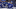 Tampa Bay Lightning