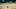 American tennis player Arthur Ashe grimaces as he hits a return to American Jimmy Connors during their 7/5 men’s singles title match at Wimbledon. Ashe won 6-1, 6-1, 5-7, 6-4.