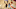 LAS VEGAS, NV – JULY 7: DeAaron Fox LAS VEGAS, NV – JULY 7: DeAaron Fox