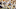 Philadelphia Eagles Philadelphia Eagles