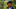 Chicago Bears, Matt Eberflus Chicago Bears, Matt Eberflus