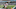 FanDuel NFL FanDuel NFL