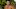 Survivor Game Changers Survivor Game Changers