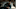RESIDENT EVIL. (L to R) AHAD RAZA MIR as ARJUN, AHAD RAZA MIR as ARJUN in RESIDENT EVIL. Cr. NETFLIX © 2021