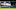 Houston Astros OF Tony Kemp