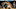 Boston Celtics Jaylen Brown (Photo by Christian Petersen/Getty Images) Boston Celtics Jaylen Brown (Photo by Christian Petersen/Getty Images)