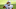 AFC Playoff Picture predictions AFC Playoff Picture predictions