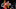 DraftKings NBA