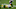Green Bay Packers Green Bay Packers
