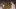 Golden State Warriors Golden State Warriors