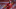 Liverpool, Divock Origi Liverpool, Divock Origi