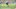 2016 NFL Draft C.J. Prosise