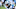 CHARLOTTE, NORTH CAROLINA – AUGUST 29: Luke Kuechly #59 of the Carolina Panthers during their preseason game against the Pittsburgh Steelers at Bank of America Stadium on August 29, 2019 in Charlotte, North Carolina. (Photo by Grant Halverson/Getty Images) CHARLOTTE, NORTH CAROLINA – AUGUST 29: Luke Kuechly #59 of the Carolina Panthers during their preseason game against the Pittsburgh Steelers at Bank of America Stadium on August 29, 2019 in Charlotte, North Carolina. (Photo by Grant Halverson/Getty Images)