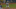 yasiel-puig-bat-snap yasiel-puig-bat-snap