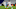 Houssem Aouar, Arsenal Houssem Aouar, Arsenal