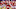 Kansas City Chiefs KC Chiefs
