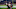 NFL: Tampa Bay Buccaneers at Houston Texans NFL: Tampa Bay Buccaneers at Houston Texans