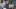 Wes Morgan, Brendan Rodgers, Leicester City (Photo by James Williamson – AMA/Getty Images) Wes Morgan, Brendan Rodgers, Leicester City (Photo by James Williamson – AMA/Getty Images)